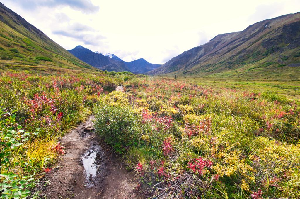 Dirt trail leading through a valley in Alaska